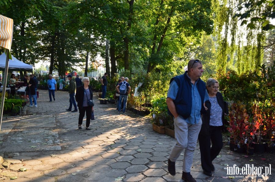 XXVI Jesienne Targi Ogrodnicze w Starym Polu, fot. 15