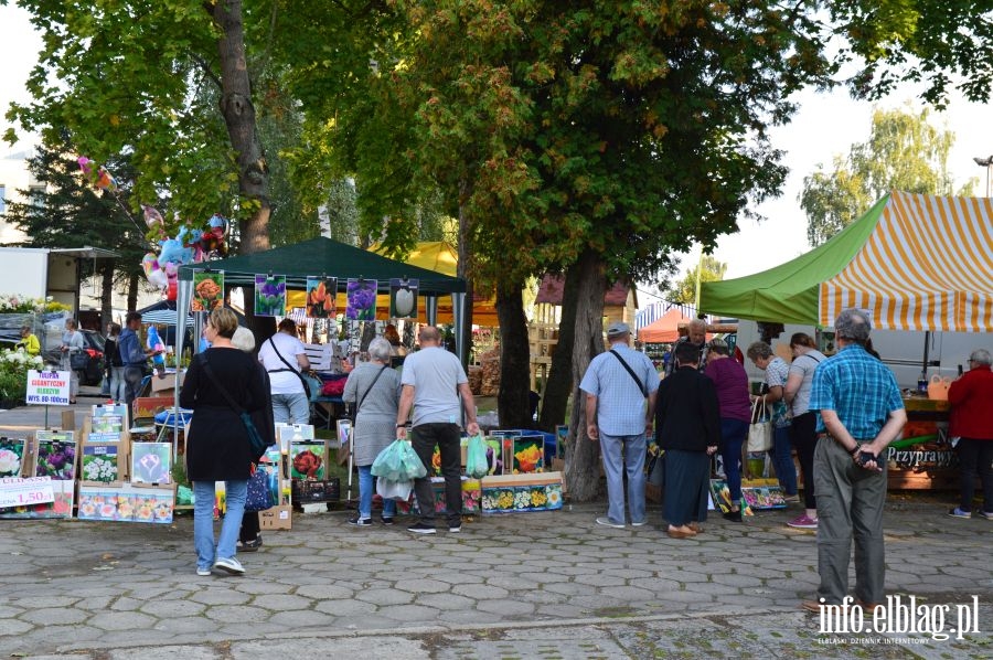 XXVI Jesienne Targi Ogrodnicze w Starym Polu, fot. 18