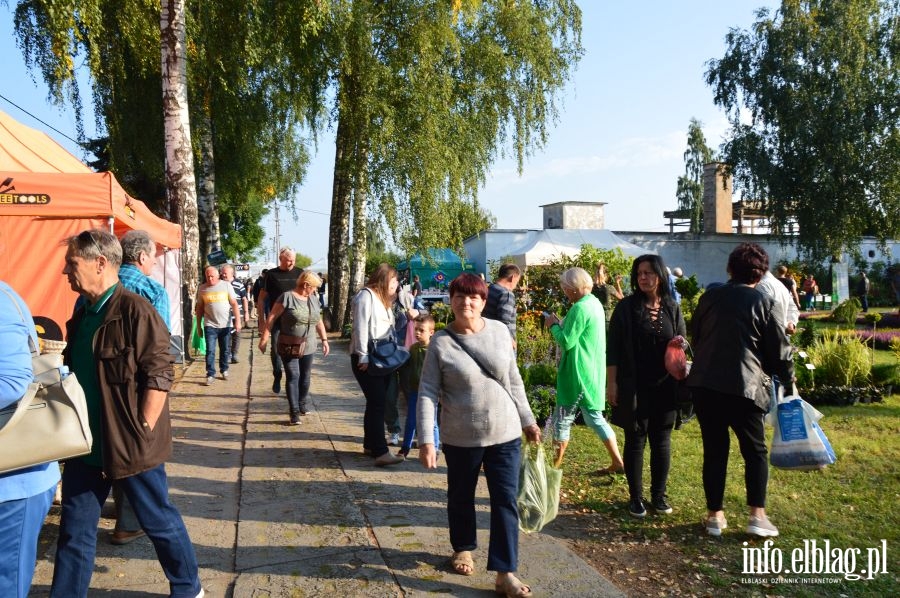 XXVI Jesienne Targi Ogrodnicze w Starym Polu, fot. 40