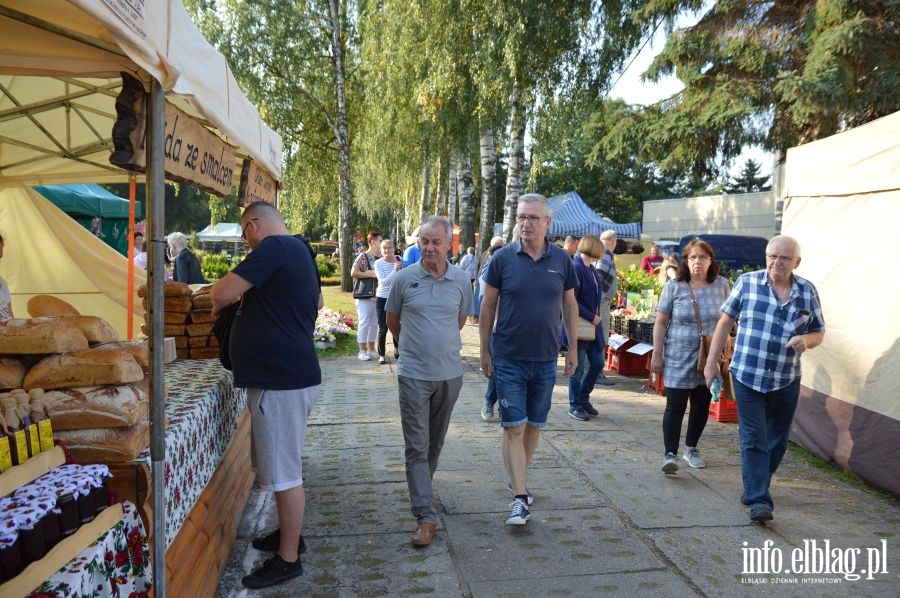 XXVI Jesienne Targi Ogrodnicze w Starym Polu, fot. 89