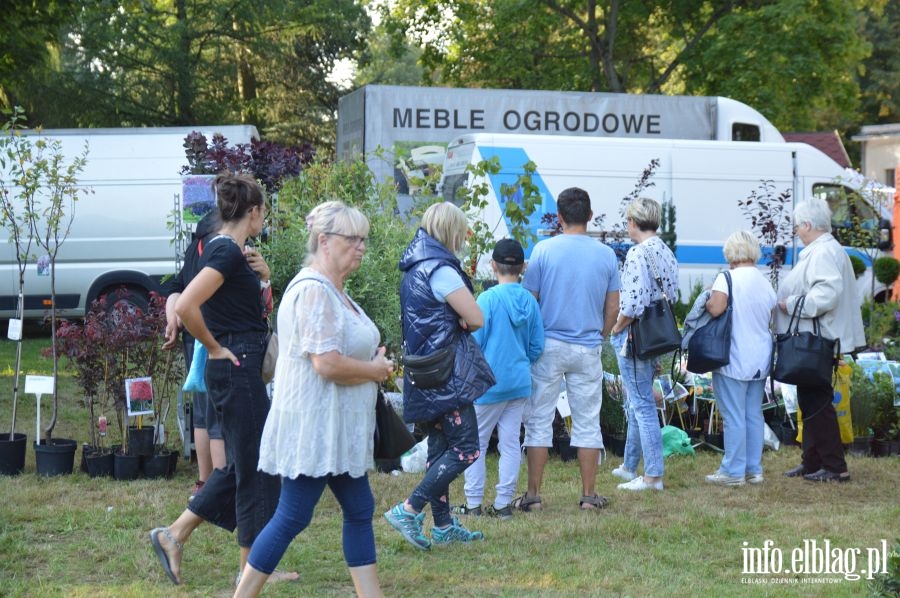 XXVI Jesienne Targi Ogrodnicze w Starym Polu, fot. 102