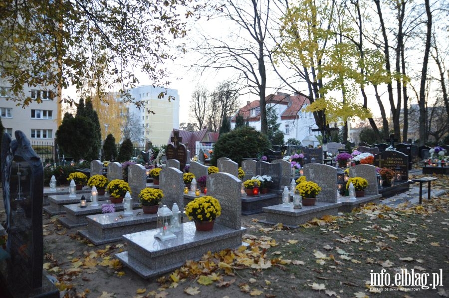 Elbląskie nekropolie   , fot. 27