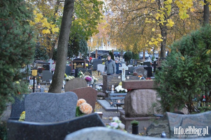 Elbląskie nekropolie   , fot. 37