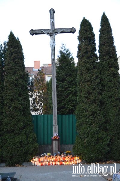 Elbląskie nekropolie   , fot. 47