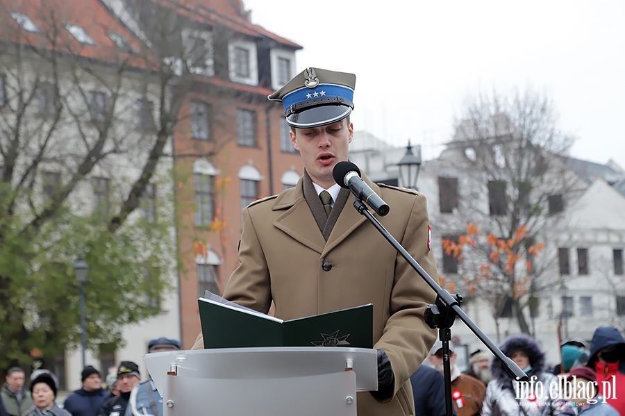 Święto Niepodległości., fot. 22