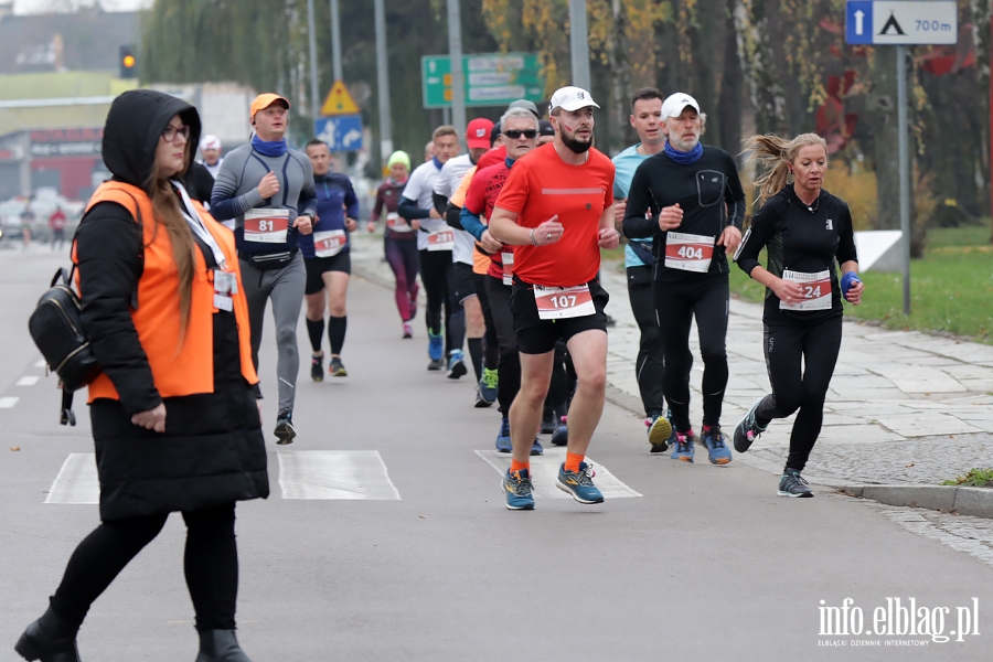 7.Bieg Niepodległości., fot. 2