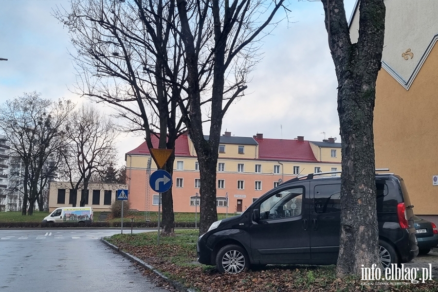 Mistrzowie parkowania w Elblągu (część 130)	, fot. 7