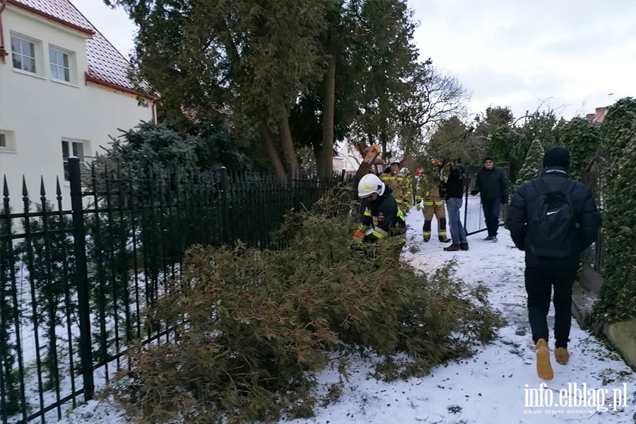 Interwencje OSP w Krzewsku, fot. 12