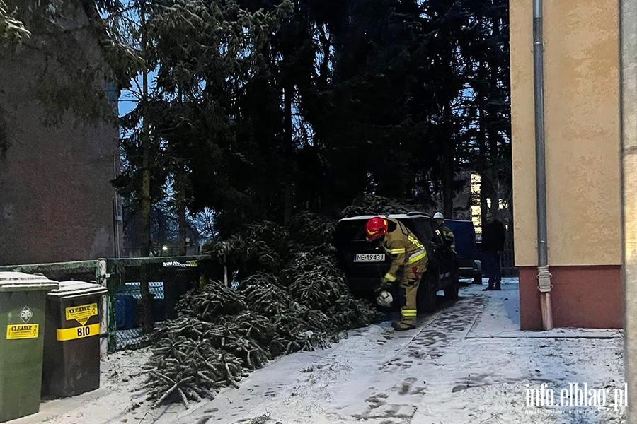OSP Nowakowo walczyła w Elblągu ze skutkami wichury, fot. 5