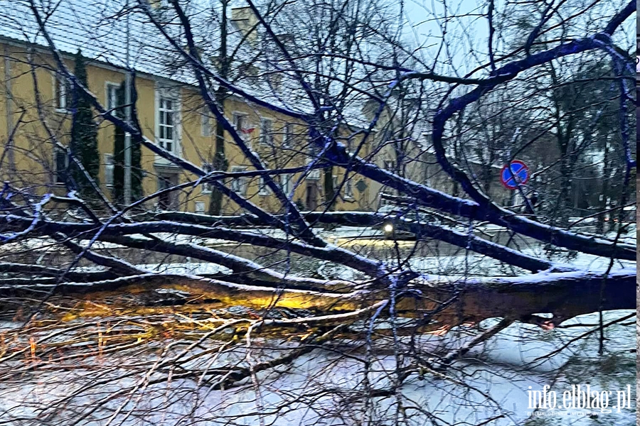 OSP Nowakowo walczya w Elblgu ze skutkami wichury, fot. 7