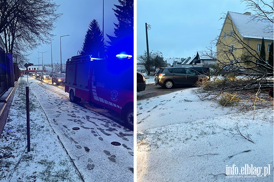 OSP Nowakowo walczya w Elblgu ze skutkami wichury, fot. 9