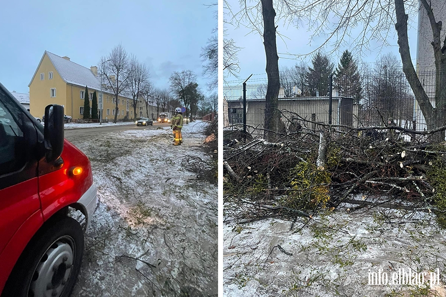 OSP Nowakowo walczya w Elblgu ze skutkami wichury, fot. 12