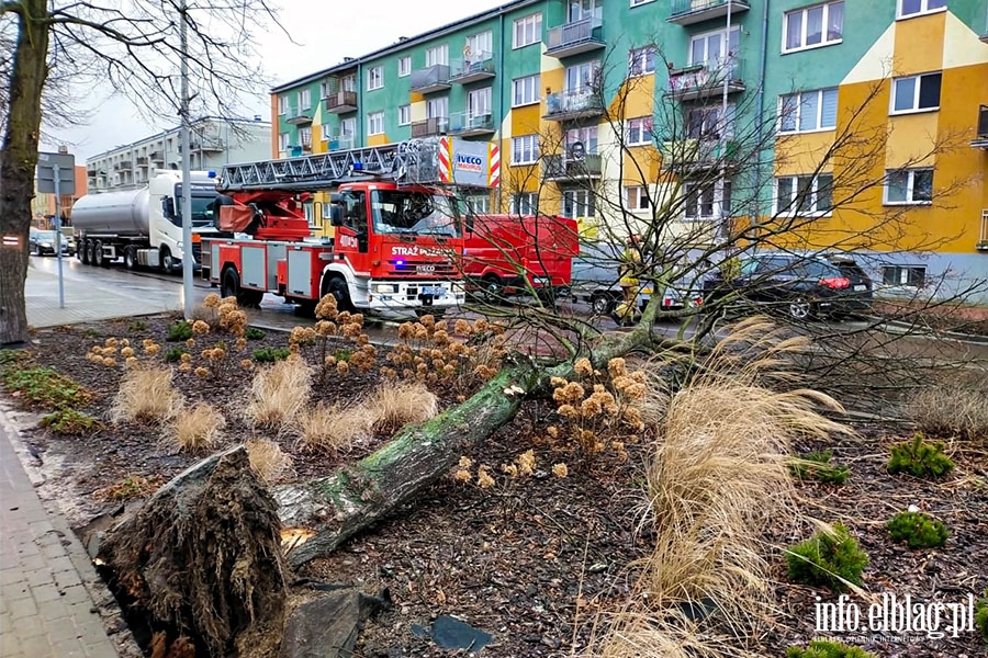 Silny wiatr - intensywne działania strażaków, fot. 5