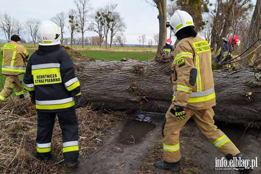 Silny wiatr - intensywne działania strażaków, fot. 8