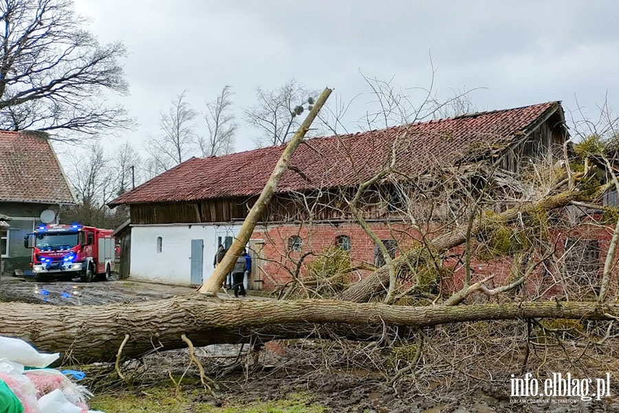 Silny wiatr - intensywne dziaania straakw, fot. 19