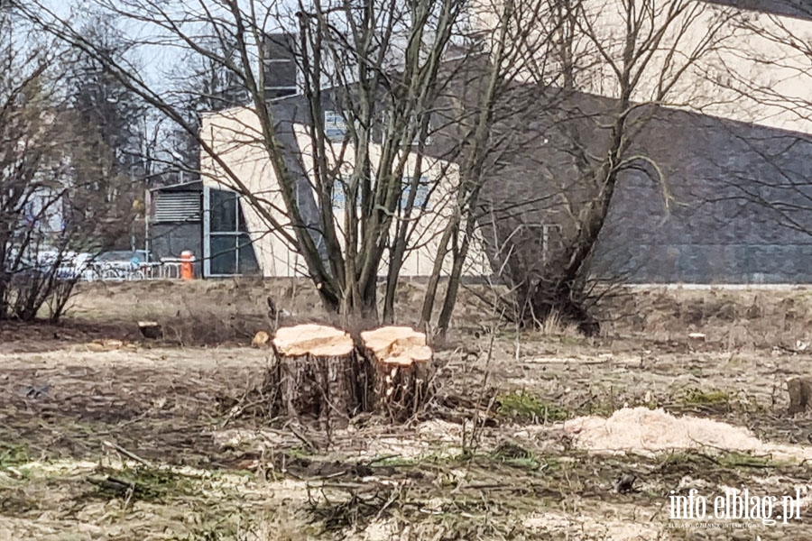 Aktualny stan terenu kpieliska miejskiego przy ul. Spacerowej, fot. 14