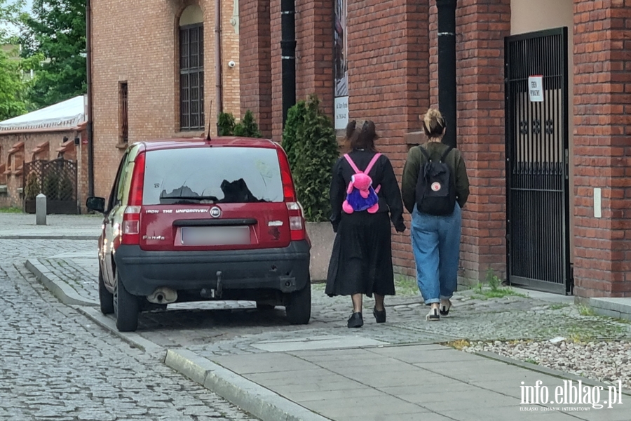Mistrzowie parkowania w Elblągu (część 155), fot. 11
