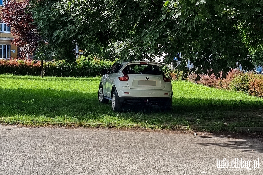Mistrzowie parkowania w Elblągu (część 173), fot. 2