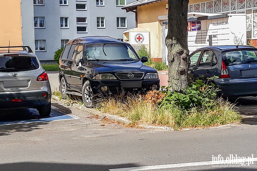 Mistrzowie parkowania w Elblgu (cz 174), fot. 11