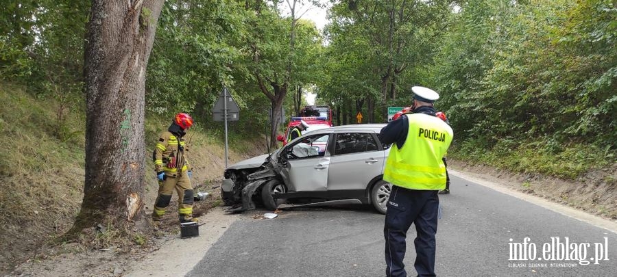 Wypadek w gminie Płoskinia, fot. 2