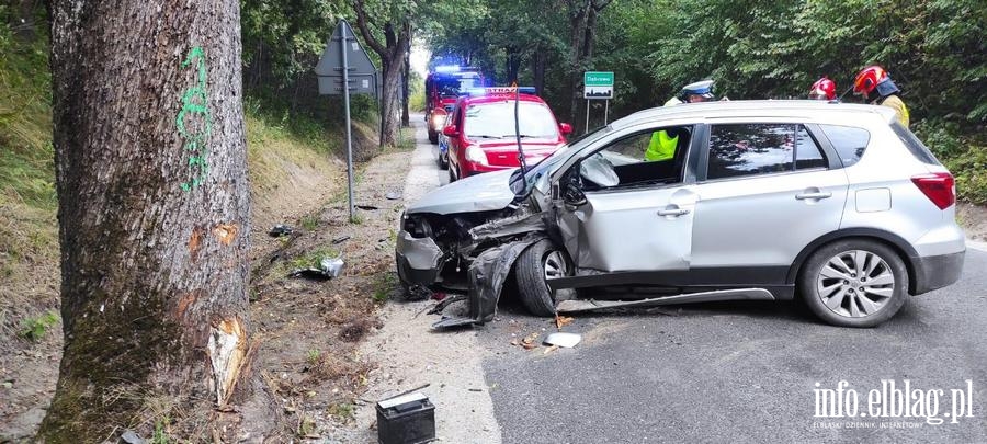 Wypadek w gminie Płoskinia, fot. 11