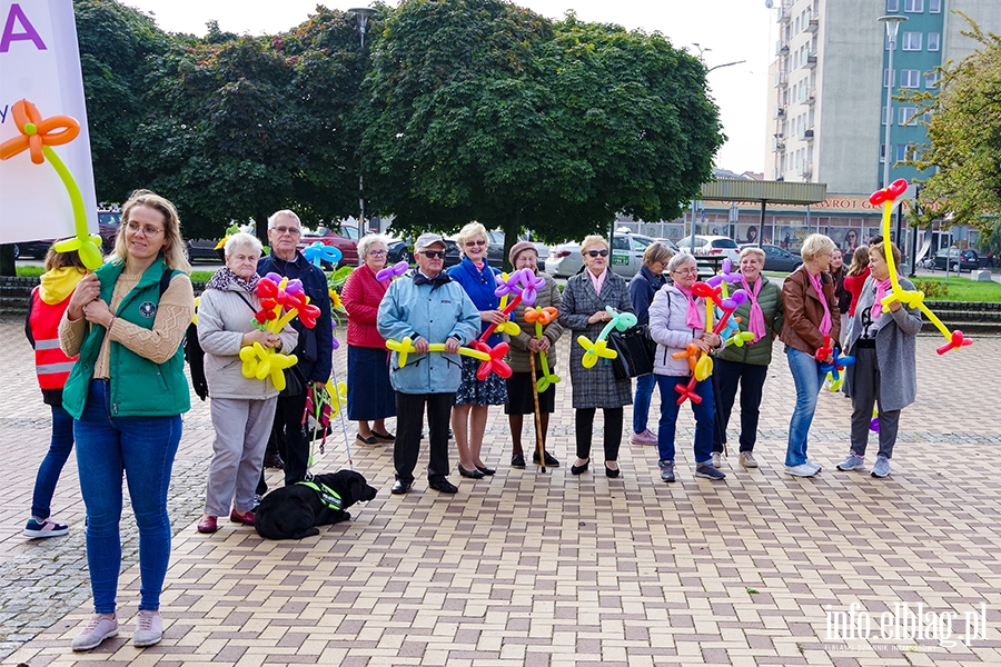 Dzie Seniora w Elblgu. Przemarsz przez miasto i festyn, fot. 10