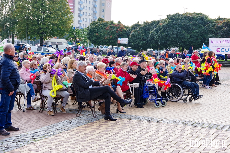 Dzie Seniora w Elblgu. Przemarsz przez miasto i festyn, fot. 14