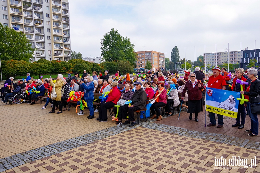 Dzień Seniora w Elblągu. Przemarsz przez miasto i festyn, fot. 17