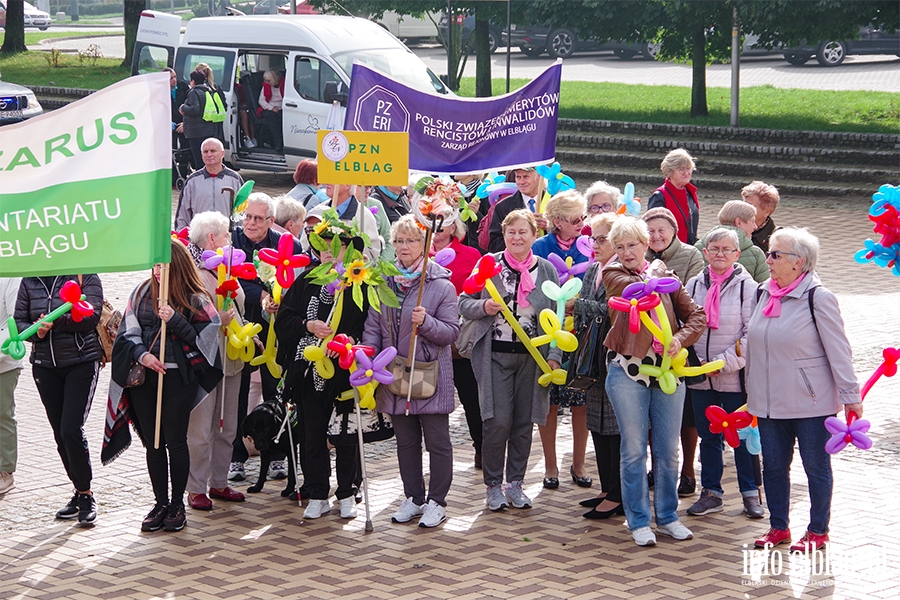 Dzień Seniora w Elblągu. Przemarsz przez miasto i festyn, fot. 19