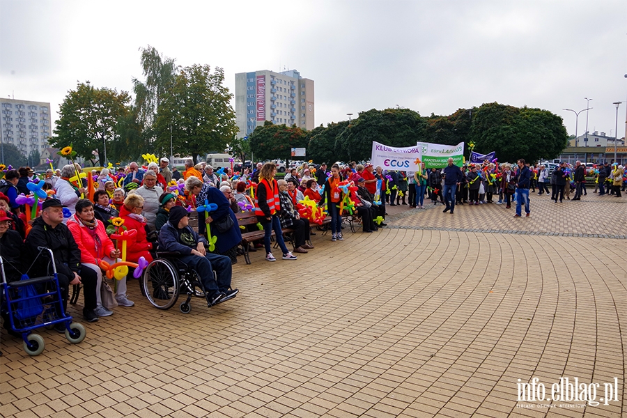 Dzie Seniora w Elblgu. Przemarsz przez miasto i festyn, fot. 23