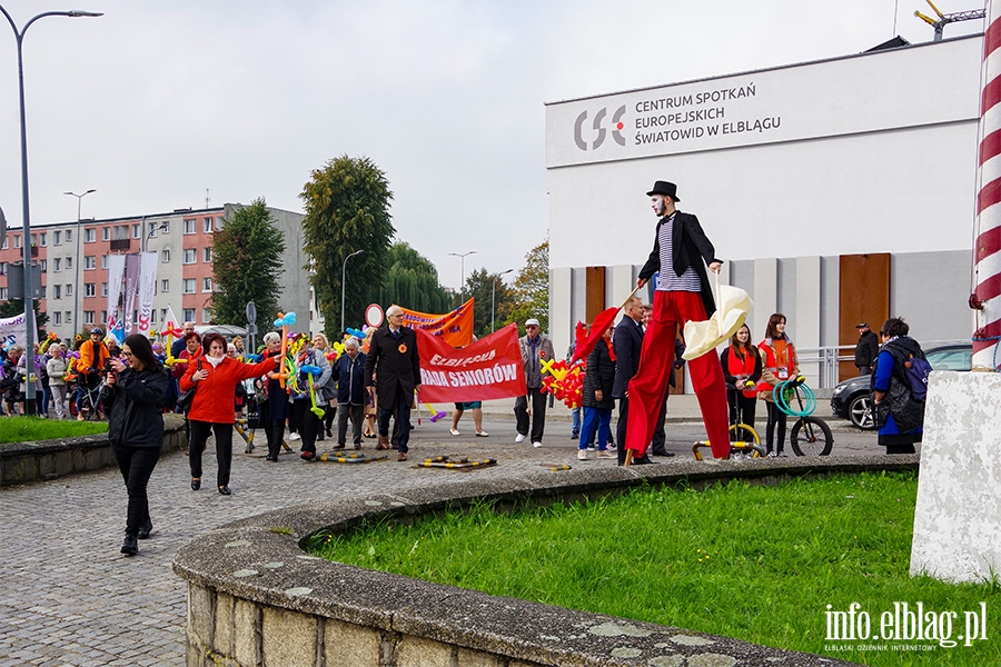 Dzie Seniora w Elblgu. Przemarsz przez miasto i festyn, fot. 31