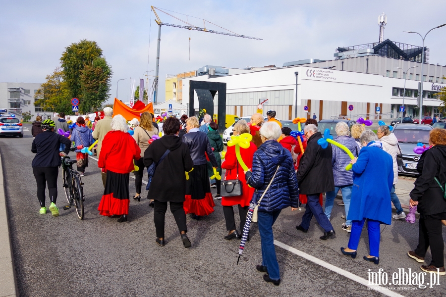 Dzie Seniora w Elblgu. Przemarsz przez miasto i festyn, fot. 34