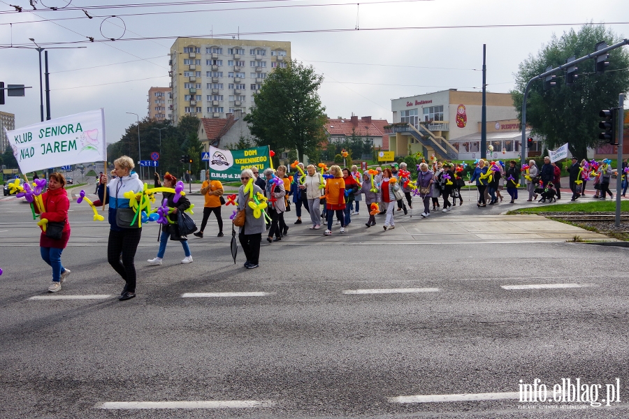 Dzie Seniora w Elblgu. Przemarsz przez miasto i festyn, fot. 36