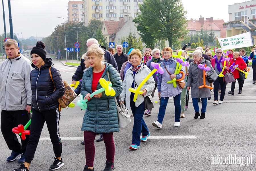 Dzie Seniora w Elblgu. Przemarsz przez miasto i festyn, fot. 38