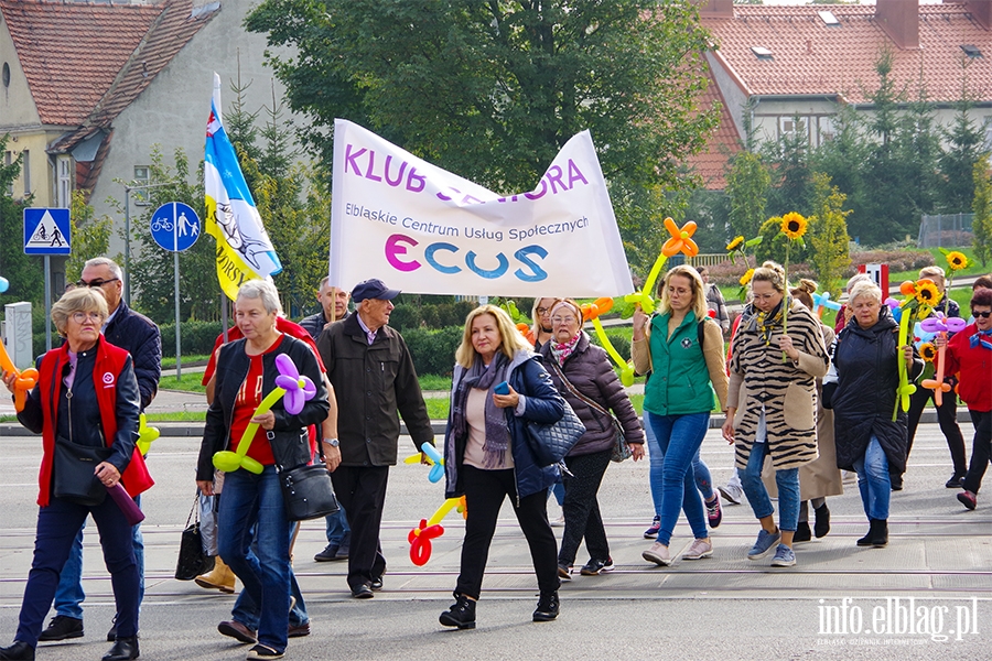 Dzie Seniora w Elblgu. Przemarsz przez miasto i festyn, fot. 42