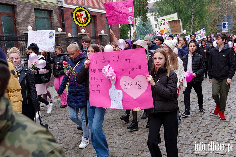 Marsz amazonek. "Profilaktyka, profilaktyka,jeszcze raz profilaktyka" (zdjcia), fot. 11