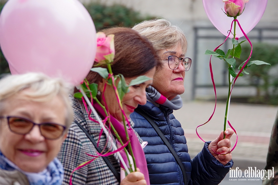 Marsz amazonek. "Profilaktyka, profilaktyka,jeszcze raz profilaktyka" (zdjcia), fot. 23