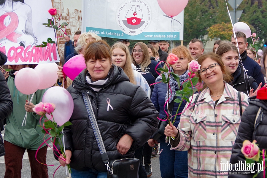 Marsz amazonek. "Profilaktyka, profilaktyka,jeszcze raz profilaktyka" (zdjcia), fot. 35