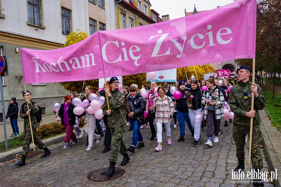 Marsz amazonek. "Profilaktyka, profilaktyka,jeszcze raz profilaktyka" (zdjcia), fot. 37