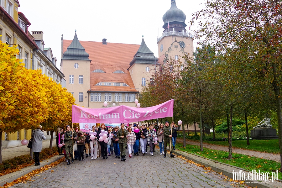 Marsz amazonek. "Profilaktyka, profilaktyka,jeszcze raz profilaktyka" (zdjcia), fot. 38