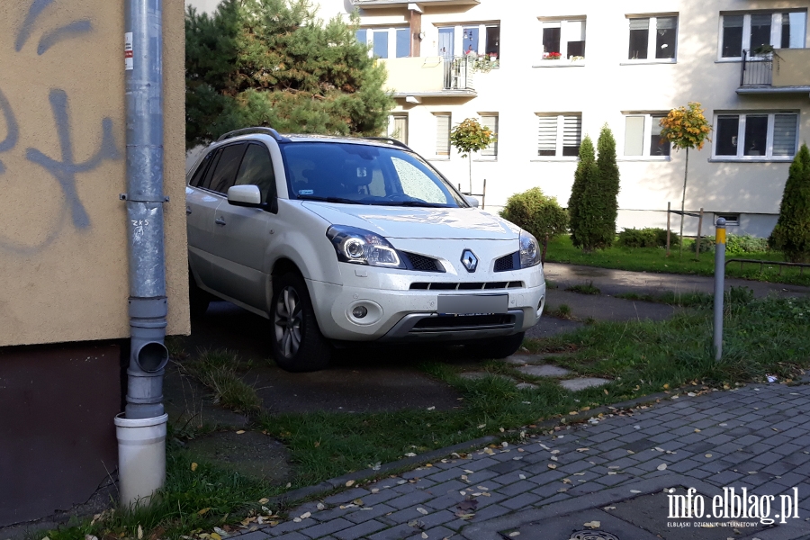 Mistrzowie parkowania w Elblgu (cz 197), fot. 3