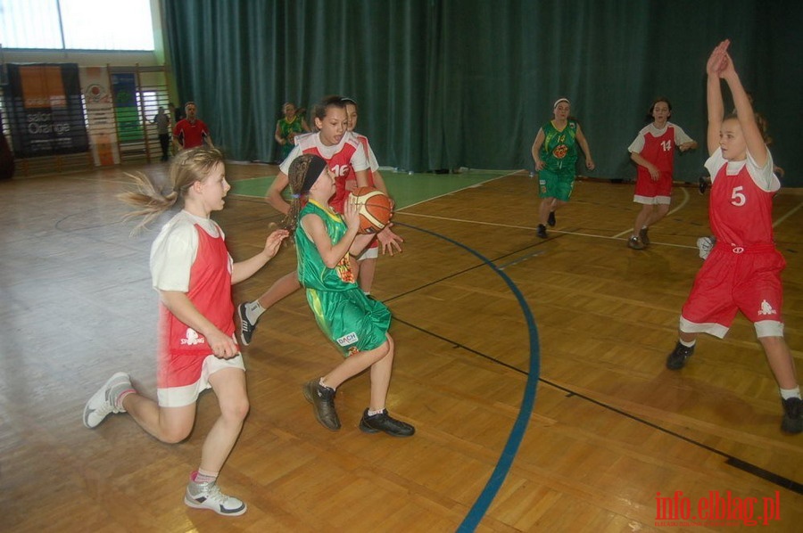 Elbasket 2010, fot. 1