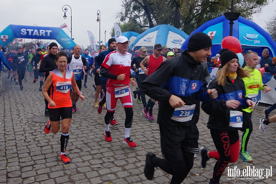 VIII Elblski Bieg Niepodlegoci. Elblanie wituj na sportowo, fot. 3