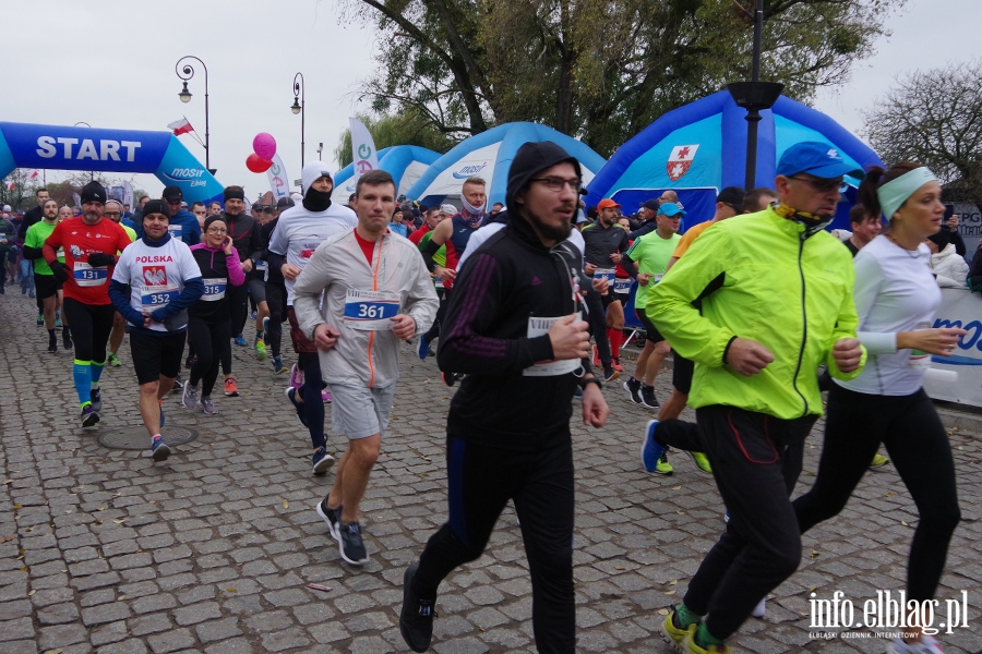 VIII Elblski Bieg Niepodlegoci. Elblanie wituj na sportowo, fot. 16