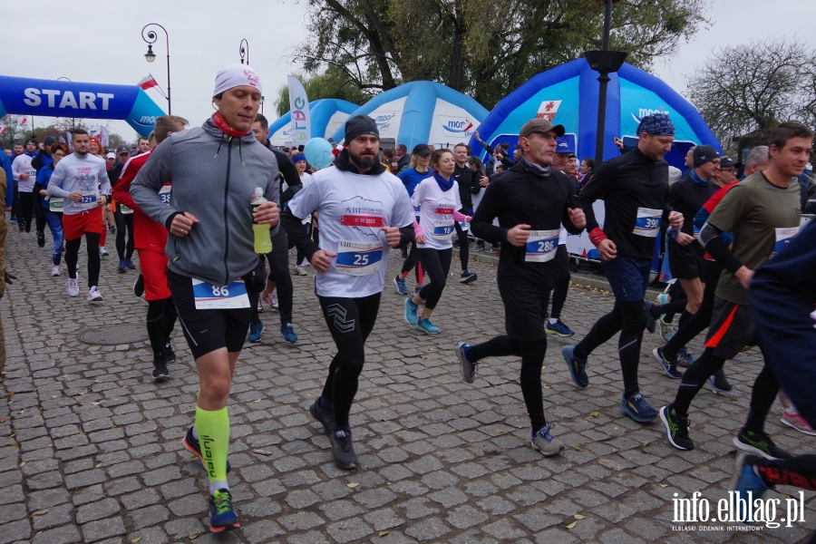 VIII Elblski Bieg Niepodlegoci. Elblanie wituj na sportowo, fot. 18