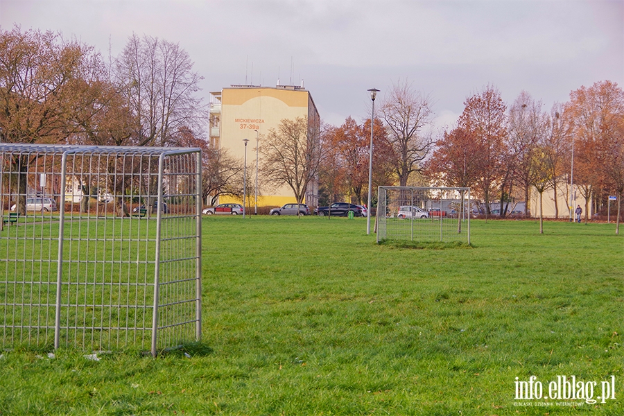 Park Gen. Nieczuja-Ostrowskiego przy ul. Mickiewicza, fot. 29