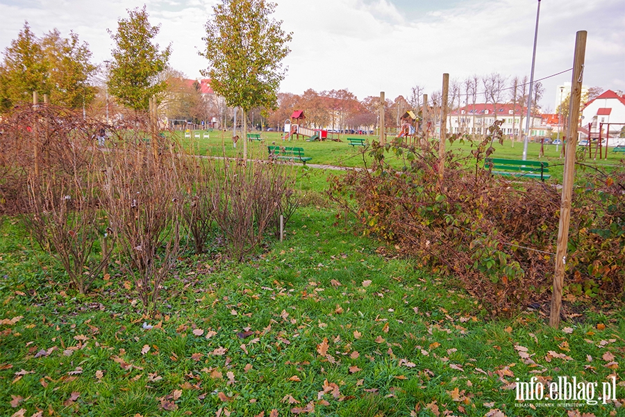 Park Gen. Nieczuja-Ostrowskiego przy ul. Mickiewicza, fot. 45