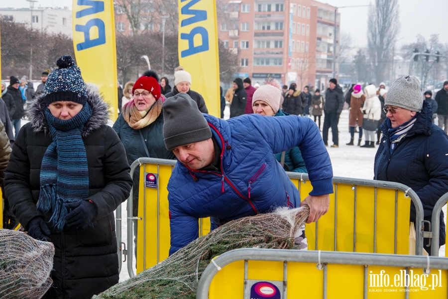 Konwj RMF FM zawita do Elblga. Rozdano 500 drzewek, chtnych byo wicej, fot. 3