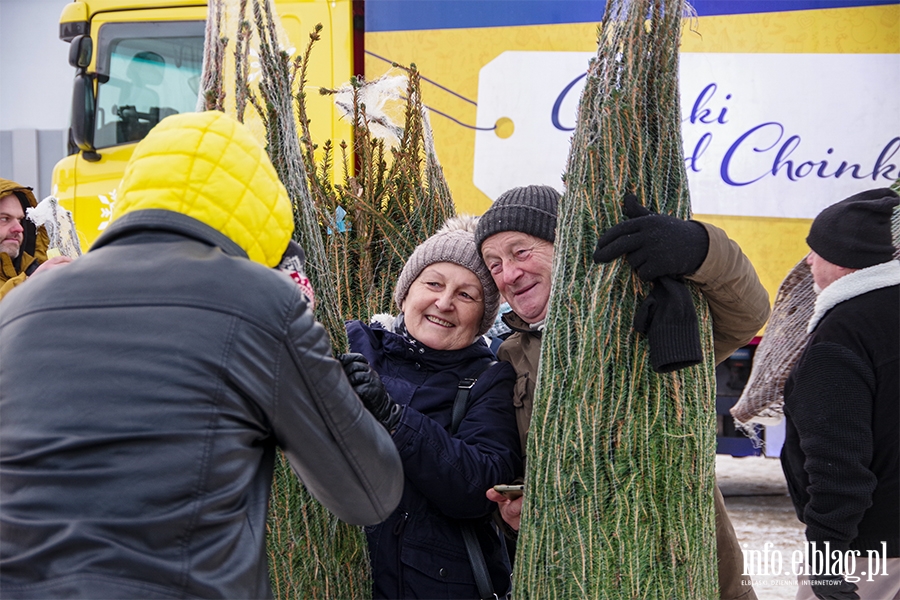 Konwj RMF FM zawita do Elblga. Rozdano 500 drzewek, chtnych byo wicej, fot. 5