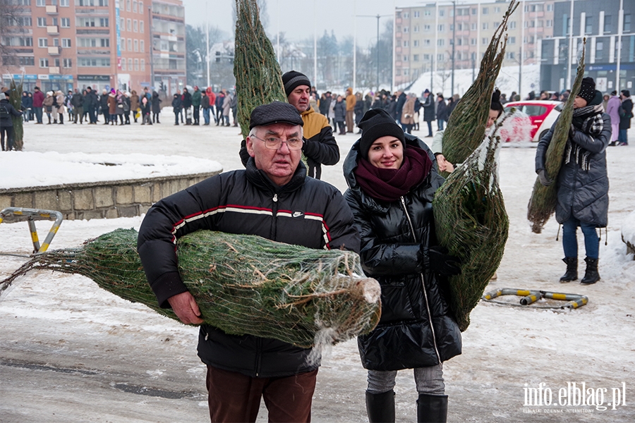 Konwj RMF FM zawita do Elblga. Rozdano 500 drzewek, chtnych byo wicej, fot. 7